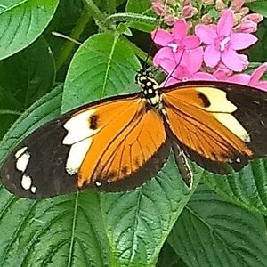 Meet your Posher, Scott